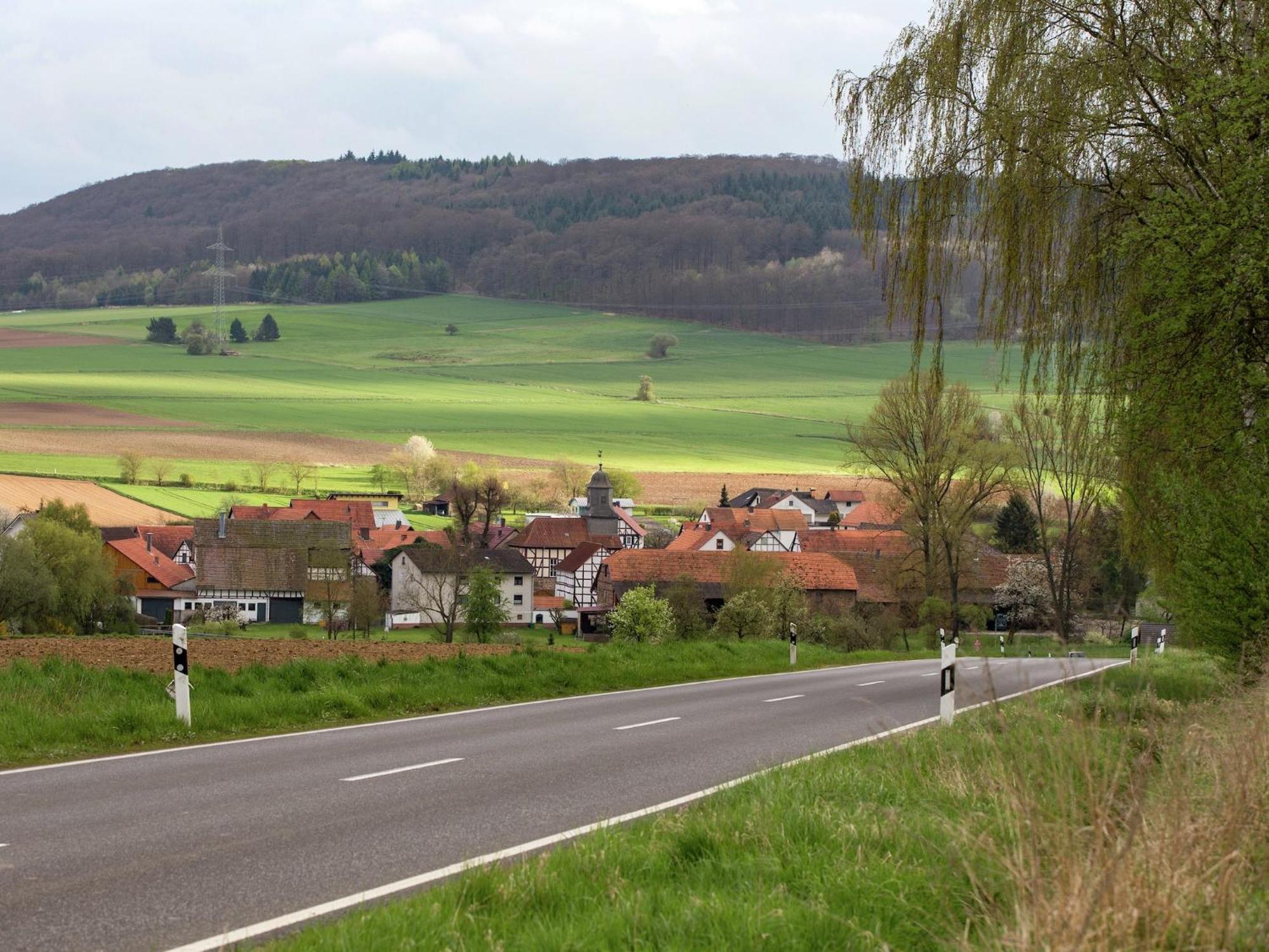 Large Detached Holiday Home In Hesse With Private Garden And Terrace Homberg  Eksteriør bilde