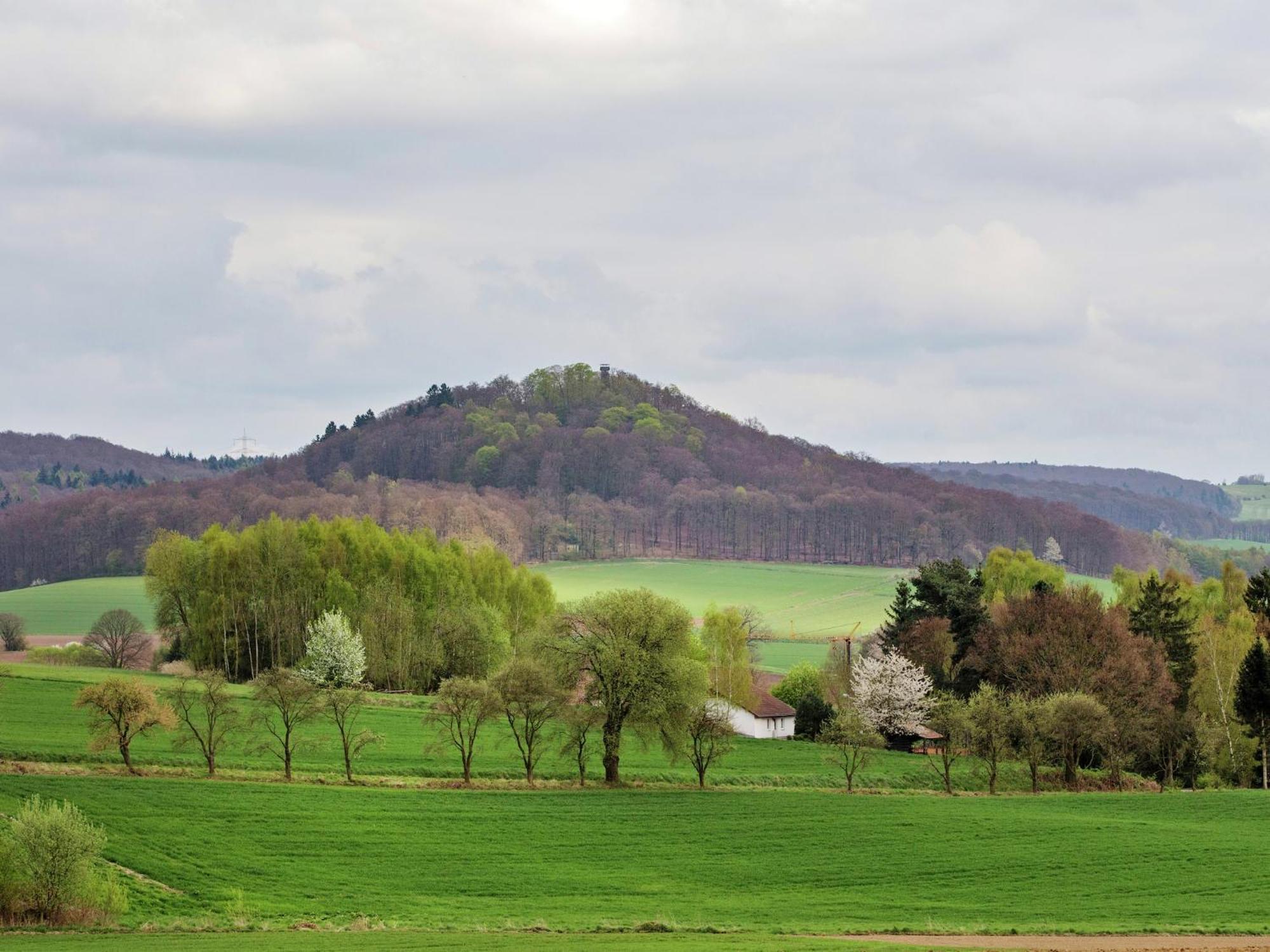 Large Detached Holiday Home In Hesse With Private Garden And Terrace Homberg  Eksteriør bilde